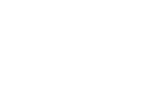 Taiho Logo White 2